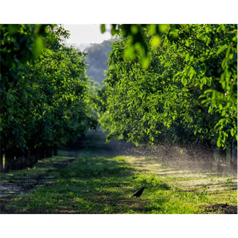 Passeio de Jipe + Prova de Vinhos | Herdade de Coelheiros - Arraiolos Passeio de