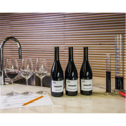 Visita à Adega + Prova de V... à Adega + Prova de Vinhos + Degustação | 1 Pe