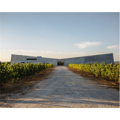 Visita à Adega + Prova de V...seu Visita à Adega + Prova de 3 Vinhos | 2 Pesso