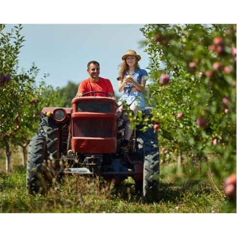 Experiência de Condução de Tractor com Alfaia Agrícola | Viseu Experiência