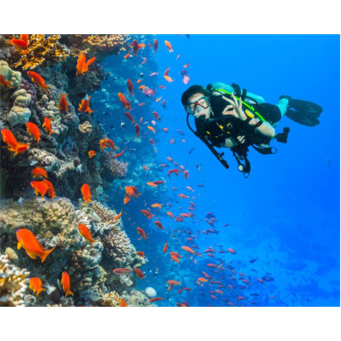 Batismo de Mergulho no Mar | 15 Experiências à Escolha
