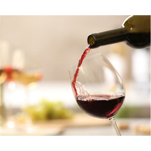 Passeio de Jipe + Prova de Vinhos | Herdade de Coelheiros - Arraiolos Passeio de