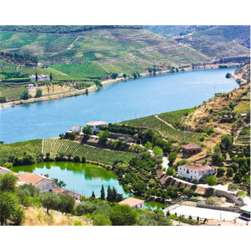 Quinta Da Estrada Winery Do...alley - Douro | Estadia Vinicola no Douro 2 Noites