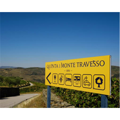 Visita à Vinha e Adega + Prova de 2 Vinhos | Quinta do Monte Travesso - Viseu 2