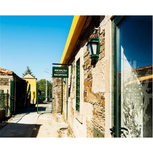 Visita à Vinha e Adega + Prova de 2 Vinhos | Quinta do Monte Travesso - Viseu 2