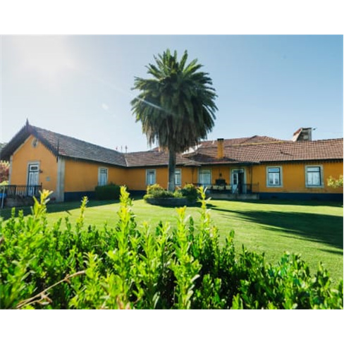 Visita à Vinha e Adega + Prova de 2 Vinhos | Quinta do Monte Travesso - Viseu 2