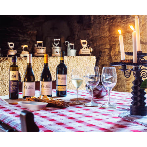 Visita à Vinha e Adega + Prova de 2 Vinhos | Quinta do Monte Travesso - Viseu 2