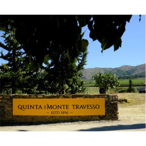 Visita à Vinha e Adega + Prova de 2 Vinhos | Quinta do Monte Travesso - Viseu 2
