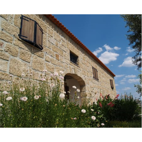 Visita à Adega & Prova de Vinhos | Quinta dos Termos - Belmonte Experiência pa