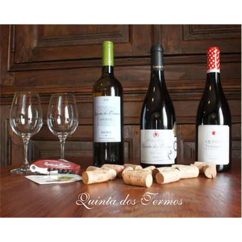 Visita à Adega & Prova de Vinhos | Quinta dos Termos - Belmonte Experiência pa
