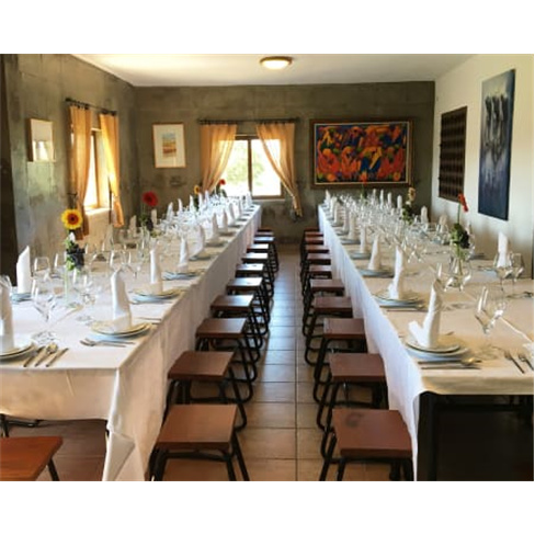 Visita à Adega & Prova de Vinhos | Quinta dos Termos - Belmonte Experiência pa