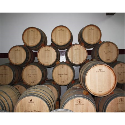 Visita à Adega & Prova de Vinhos | Quinta dos Termos - Belmonte Experiência pa
