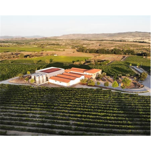 Visita à Adega & Prova de Vinhos | Quinta dos Termos - Belmonte Experiência pa
