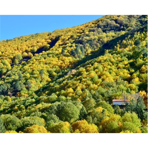 Casa da Floresta no Solar da Castanha, Manteigas | 2 Noites na Serra da Estrela