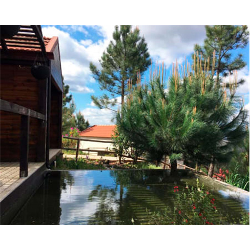 Villa de Paçô - Sever do Vouga | Estadia Romântica com Jacuzzi 2 Noites
