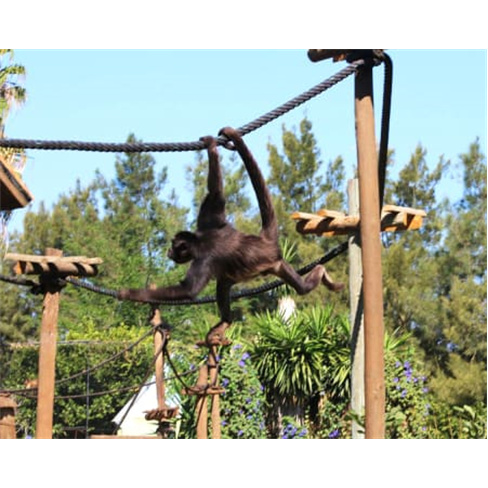 Zoo de Lagos | Aberto Todo o Ano! Entrada de Criança