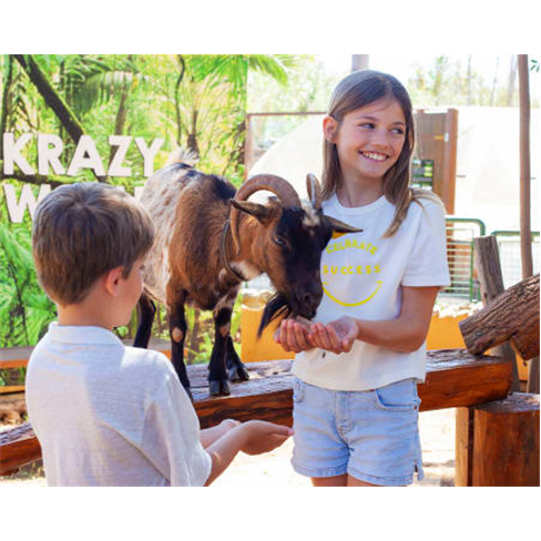 Diversão é no Krazy World! ...io para Toda a Família - Algarve Bilhete de Adu