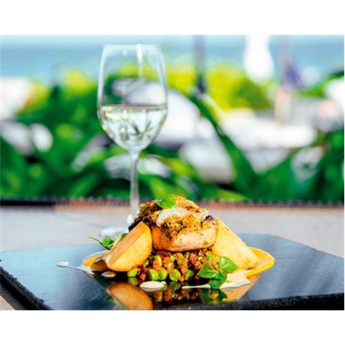 Jantar e Vinho | 250 Experiências