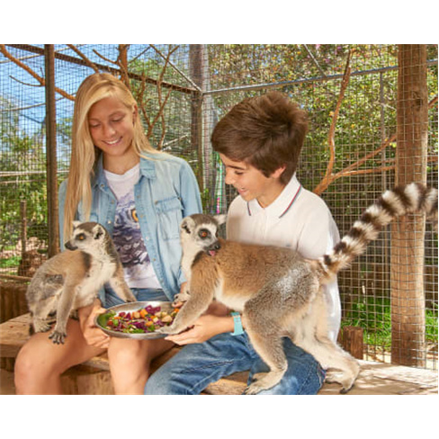 Diversão é no Krazy World! ...io para Toda a Família - Algarve Bilhete de Adu