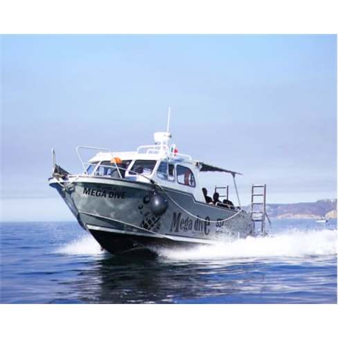 Passeio de Barco com Batismo de Mergulho no Mar | Sesimbra Experiência para 1 P