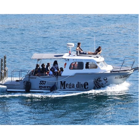 Passeio de Barco pela Rota dos Golfinhos para Dois | Parque Natural da Arrábida