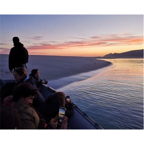 Passeio de Barco pela Baía de Setúbal - Sunset Tour! 2 Horas Bilhete de Crian