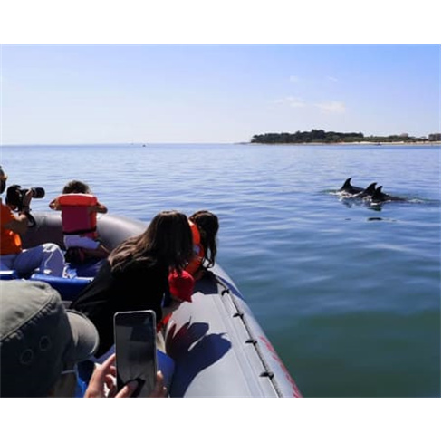 Passeio de Barco pela Baía de Setúbal - Sunset Tour! 2 Horas Bilhete de Crian
