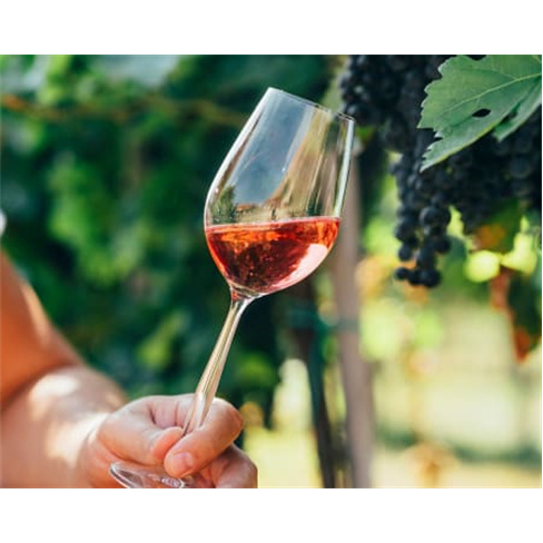 Curso Online de Iniciação à Degustação de Vinhos - 25 Horas | iLabora