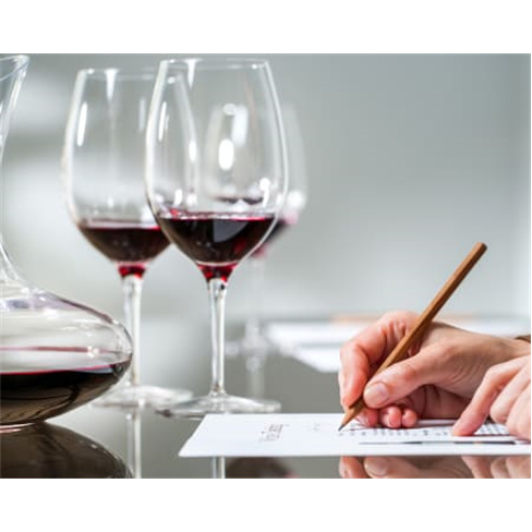 Curso Online de Iniciação à Degustação de Vinhos - 25 Horas | iLabora