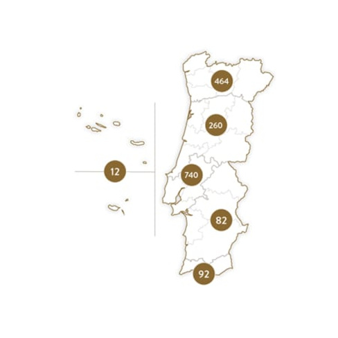 Surpresa e Emoção | 1650 Experiências