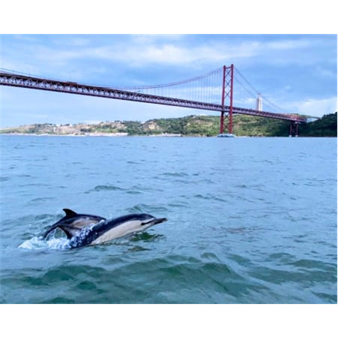 Baptismo de Vela no Rio Tejo - 4 Horas | Terra Incógnita Experiência para 1 Pe