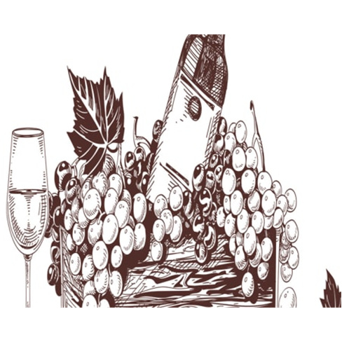 Vinhos e Petiscos | 180 Experiências