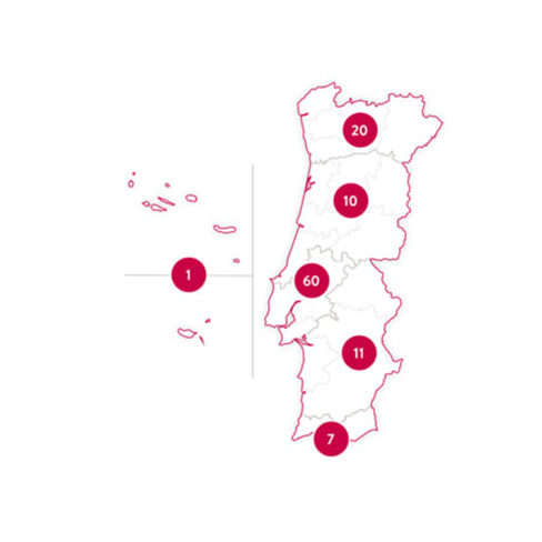 Vinhos e Petiscos | 180 Experiências