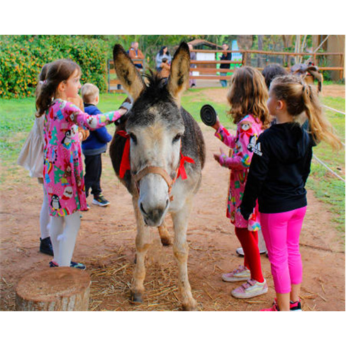 Diversão é no Krazy World! ...io para Toda a Família - Algarve Bilhete de Adu