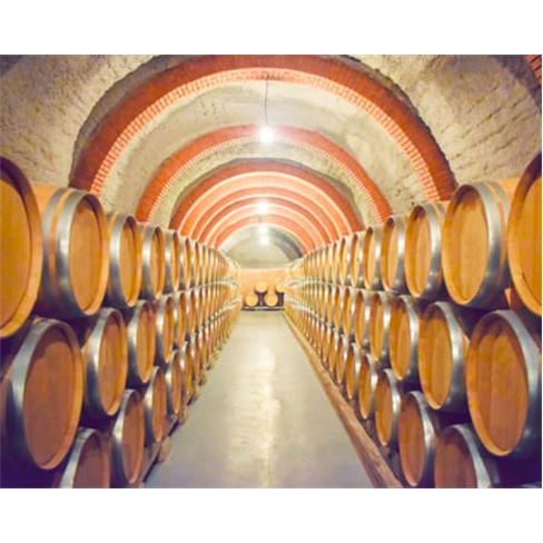Visita e Prova de Vinhos | 170 Experiências