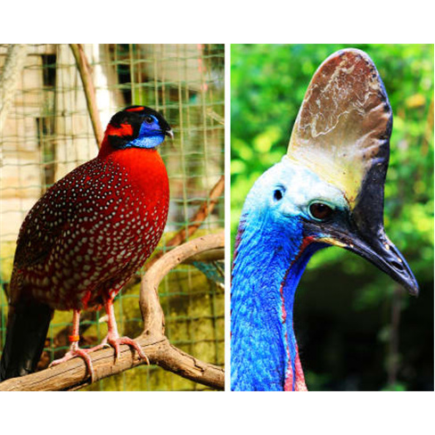 Zoo de Lourosa - O Único Pa... de Família - 2 Adultos + 2 Crianças (Até 12 A