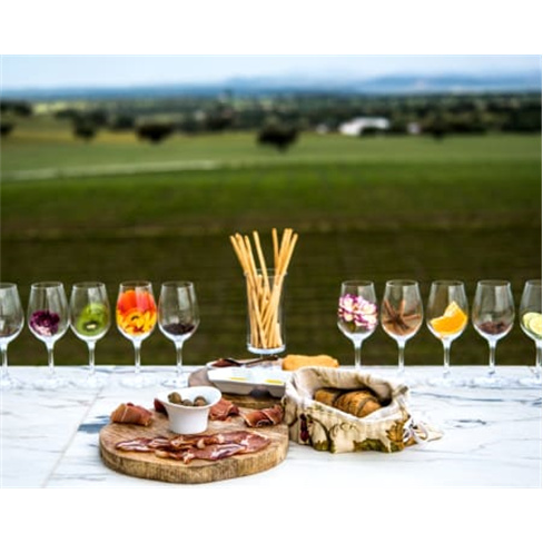 Workshops de Vinho | 20 Experiências à Escolha