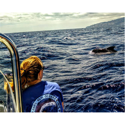 Passeio de Barco c/ Observa...| Azul Diving - Funchal Experiência para 2 Pessoa