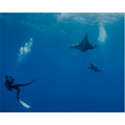 Baptismo de Mergulho nas Ág...| Azul Diving - Funchal Experiência para 2 Pesso