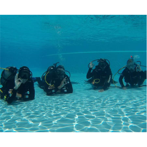 Baptismo de Mergulho nas Ág...| Azul Diving - Funchal Experiência para 2 Pesso
