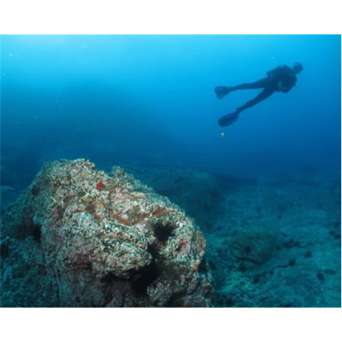 Baptismo de Mergulho nas Ág...| Azul Diving - Funchal Experiência para 2 Pesso