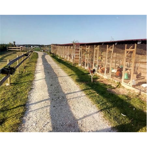 Entrada na Quinta Pedagógica Bambilocas c/ Alimentação de Animais | Bombarral