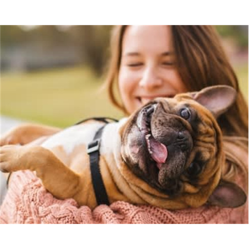 Sessão Fotográfica com Animal de Estimação | Alameda ou Parque Bela Vista