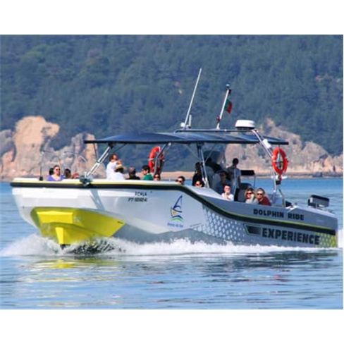 Passeio de Barco pela Baía de Setúbal c/ Observação de Golfinhos! 2 Horas Bi