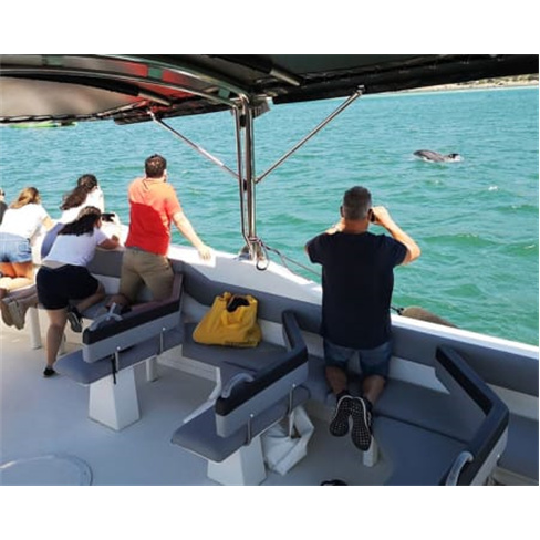 Passeio de Barco pela Baía ...Observação de Golfinhos! 2 Horas Bilhete de Adu