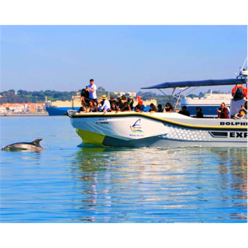 Passeio de Barco pela Baía ...Observação de Golfinhos! 2 Horas Bilhete de Adu