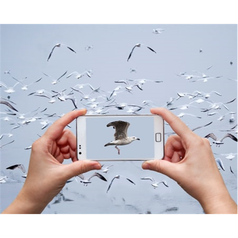 Workshop Online de Fotografia Mobile - 2h30 | Daniel Camacho Photography