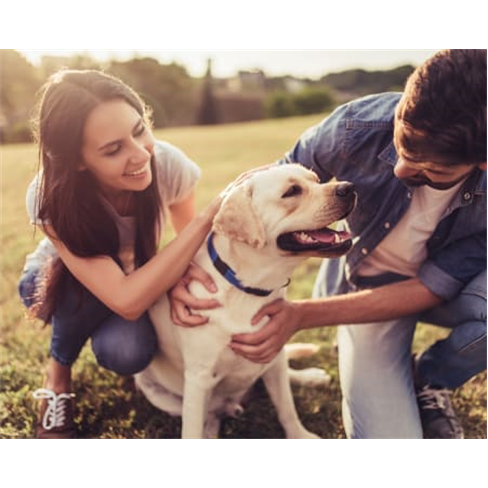 Sessão Fotográfica «Family & Pets» - Momentos Especiais em Outdoor! Luz do D