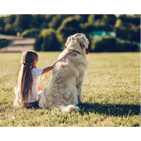 Sessão Fotográfica «Family ... 15 Fotos Editadas | 3 a 4 Pessoas e até 2 Ani