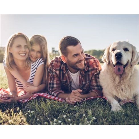 Sessão Fotográfica «Family ... 15 Fotos Editadas | 3 a 4 Pessoas e até 2 Ani